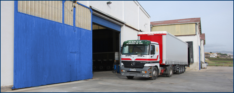 Cami&oacute;n de sal Suescun