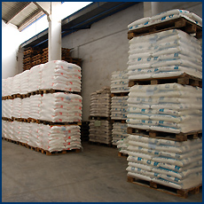 Pal&eacute;s de sal Suescun