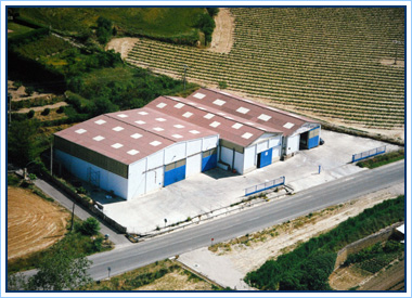 Almac&eacute;n de sal Suescun en Puente la Reina